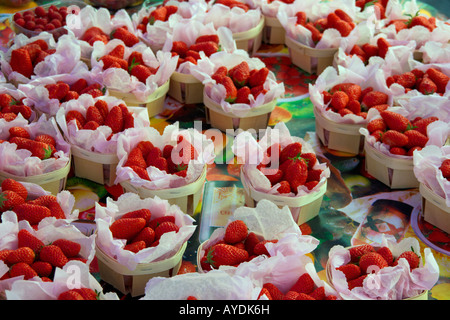 Strawberries for sale on a French Market Stock Photo