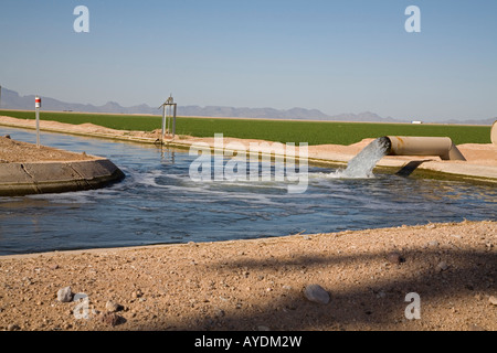 Piedra Arizona Water is pumped into irrigation canals on a farm in the Arizona desert Stock Photo