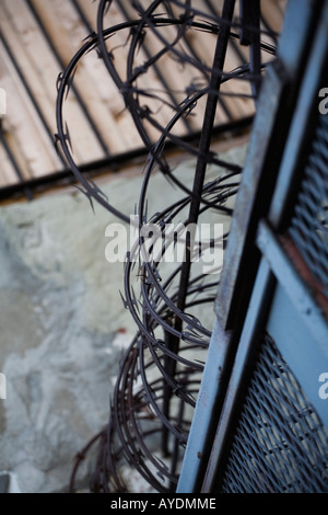Barbed wire on fence Stock Photo