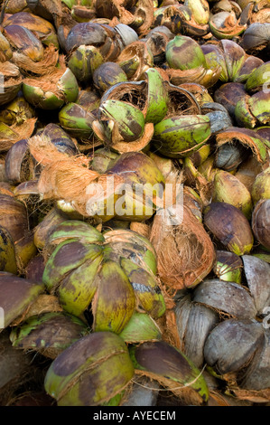 coconut with husk Stock Photo - Alamy