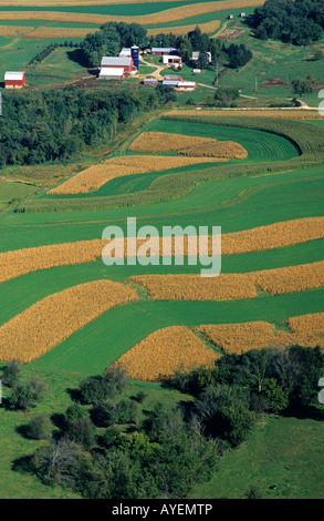 Wisconsin Contour Farm Aerial view of contour strip farming corn and alfalfa hay in Southwest ...