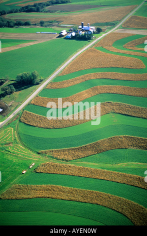 Wisconsin Contour Farm Aerial view of contour strip farming corn and alfalfa hay in Southwest ...