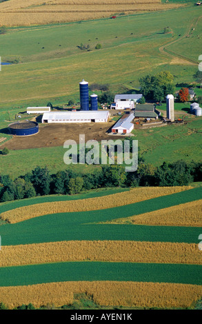 Wisconsin Contour Farm Aerial view of contour strip farming corn and alfalfa hay in Southwest ...