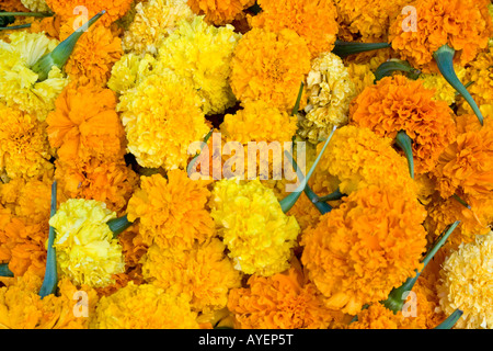 Marigolds in the Flower Market in Madurai South India Stock Photo