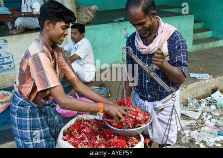 Measuring Flowers in the Flower Market in Madurai South India Stock Photo