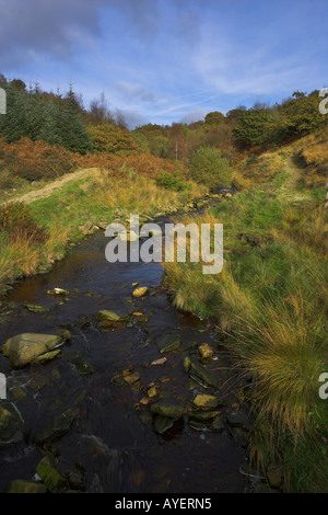 Lead mines clough in early autumn Rivington Lancashire UK Stock Photo ...