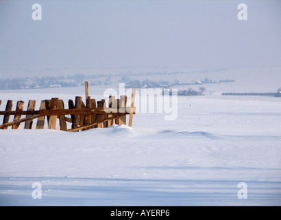 Winter scene Stock Photo