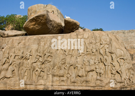 Arjuns Penance Rock Carving Relief in Mamallapuram South India Stock Photo