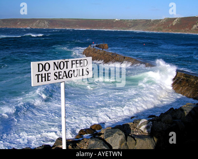 Rough Seas Blue Skies ' feed the seagulls' warning sign Sennen Cove Cornwall England UK Stock Photo