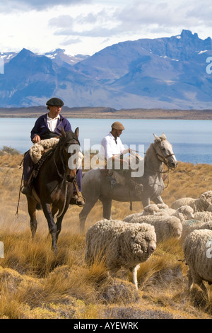 Gauchos herd sheep near Lake Argentino on the Patagonian grasslands near El Calafate Argentina Stock Photo