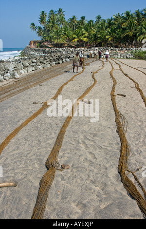 Laying out Fishing Nets to Dry in the Sun on the Beach in Varkala South India Stock Photo