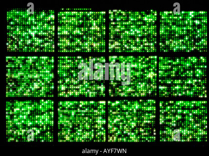 Micro Array DNA Chip, human genome structure Stock Photo - Alamy