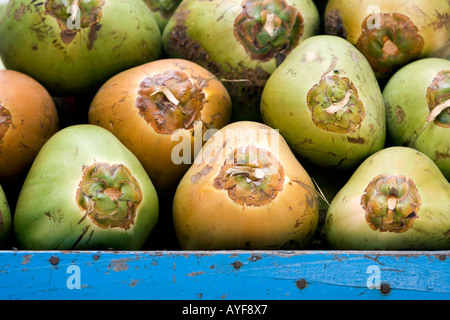 Coconuts piled onto a blue cart in India Stock Photo
