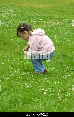 Small girl picking daisies Stock Photo