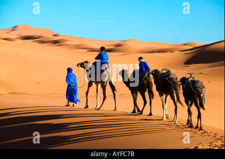 Tuareg man and his children dressed in traditional blue robe with camels in the Erg Chebbi area Sahara desert Morocco Stock Photo