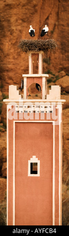 White storks Ciconia ciconia Nesting on the minaret of a Mosque in the Dades valley gorge Morocco Morocco Migratory Stock Photo