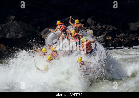 Capsizing while whitewater rafting rapid 18 Zambezi River Zimbabwe Zambia border Africa Stock Photo