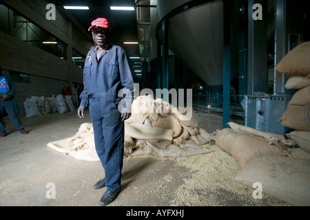 Africa Kenya Ruira MR Portrait of Worker inside sorting plant while unloading bags of ripe Arabica coffee beans during harvest Stock Photo