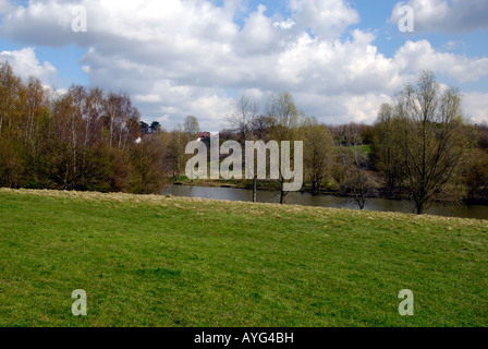 High Woods Country Park, Colchester, Essex Stock Photo