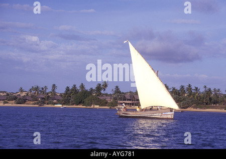 Sailing dhow or jahazi taking visitors on a sunset cruise from Kipungani Lodge Lamu island Kenya East Africa Stock Photo