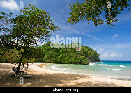 Jamaica Port Antonio Tropical landscape at Frenchmans Cove beach Stock Photo