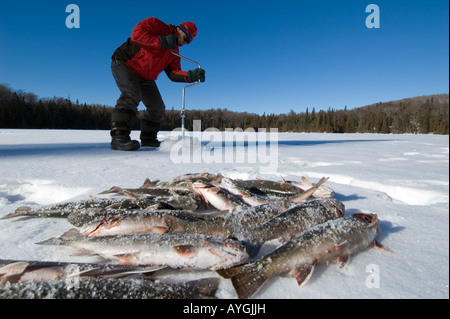 man drilling hole in ice with auger and brook trout in foreground Stock Photo