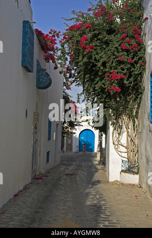 Narrow cobbled lane Sidi Bou Said village Tunisia