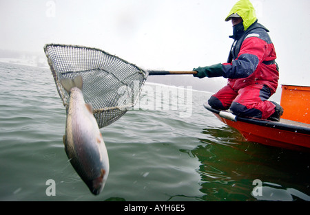 Dry fly fishing float hi-res stock photography and images - Alamy