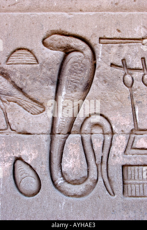 Temple of Denderah Queen Cleopatra human figures and hieroglyphics carved in the stone a cobra snake Stock Photo