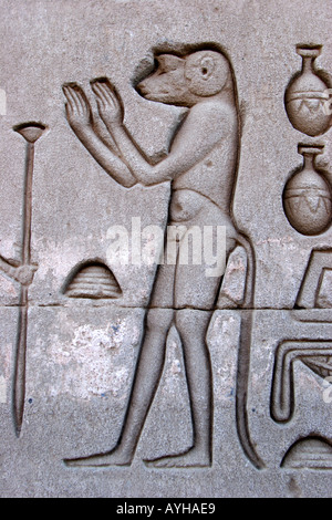 Temple of Denderah Queen Cleopatra human figures and hieroglyphics carved in the stone a monkey Stock Photo
