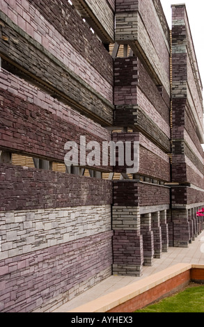 Section of the slate wall of the Millenium Centre Cardiff Bay UK Stock Photo