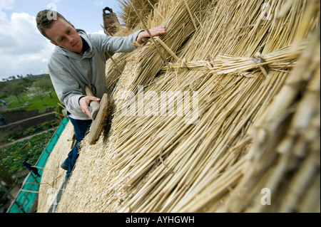 Master Thatcher James Caro uses a 'Leggett' on thatching straw to repair the roof of Anne Hathaway's cottage in Stratford Stock Photo