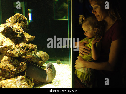 Benalmadena tourists visit the deep sea aquarium of the Seaworld centre Stock Photo