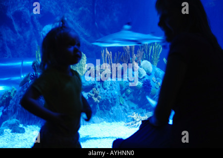 Benalmadena tourists visit the deep sea aquarium of the Seaworld centre Stock Photo