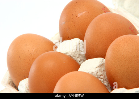 six eggs in cartonbox isolated on white background with copy space Stock Photo