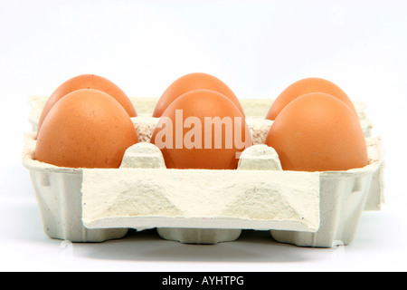 six eggs in box isolated on white background with copy space Stock Photo