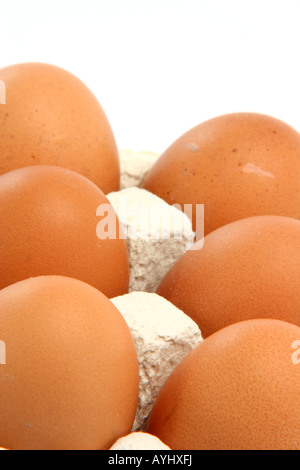 six eggs in cartonbox isolated on white background with copy space Stock Photo
