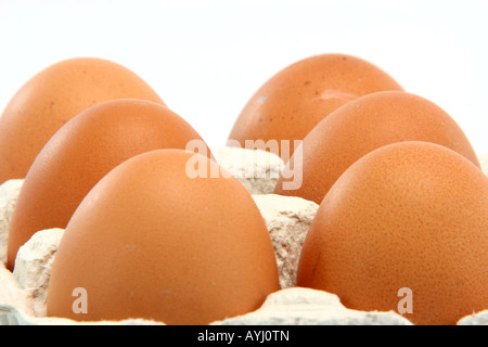 six eggs in cartonbox isolated on white background with copy space Stock Photo