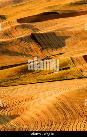 HARVESTED WHEAT FIELDS OF PALOUSE HILLS OF EASTERN WASHINGTON STATE USA Stock Photo