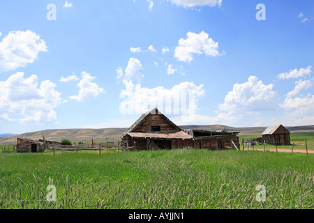 Old farm in Wyoming countryside, near Randolf, july 2006 Stock Photo