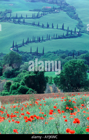 Tuscan landscape Tuscany Italy Stock Photo