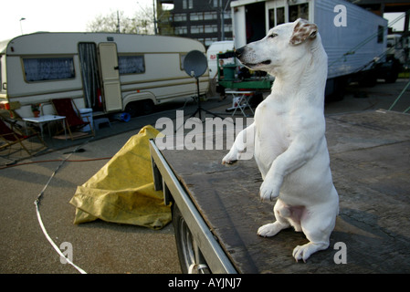 Magic circus in Amsterdam Stock Photo