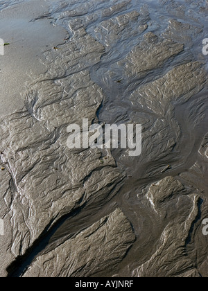 Patterns of sand-ripples at low tide on Wonwell Beach, South Devon, UK Stock Photo