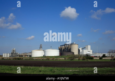 British Sugar's Wissington sugar factory, west Norfolk, England UK ...