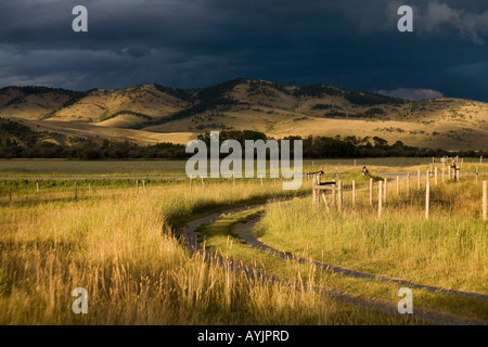 Ominous storm clouds over the Whaleback off Highway 22 near Lundbreck Alberta Canada Stock Photo