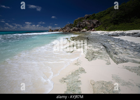 Reef at Grand Anse, La Digue, Island Seychelles Stock Photo