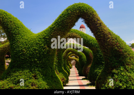 Topiary garden archways and path in Zarcero Costa Rica leading to stairs and San Rafael catholic church Stock Photo