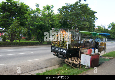 coconut water vendor in Trinidad Stock Photo