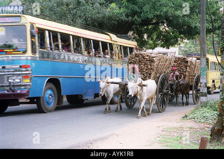 young man driving a two oxen wagon and a local bus India Kerala a state on the tropical cost of south west India Stock Photo