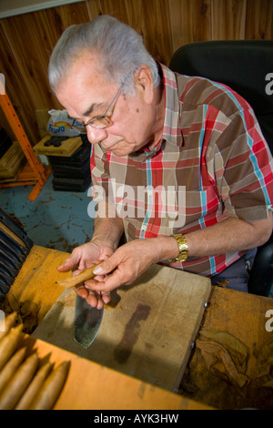 Hand rolled Cuban Cigars made in Ybor City Florida, USA Stock Photo